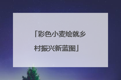 彩色小麦绘就乡村振兴新蓝图