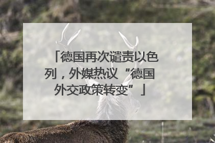 德国再次谴责以色列，外媒热议“德国外交政策转变”