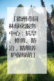 德州市园林绿化服务中心：抗旱、修剪、防治，精细养护保绿荫