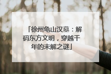 徐州龟山汉墓：解码东方文明，穿越千年的未解之谜