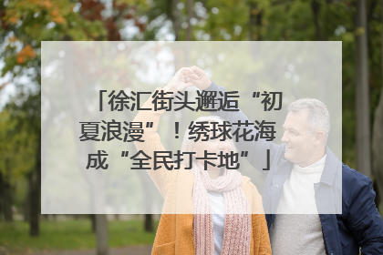 徐汇街头邂逅“初夏浪漫”！绣球花海成“全民打卡地”