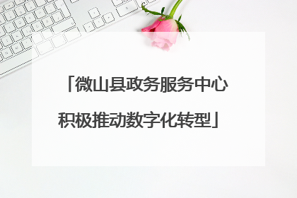 微山县政务服务中心积极推动数字化转型