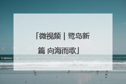 微视频｜鹭岛新篇 向海而歌