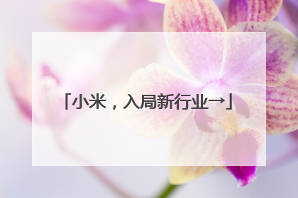 小米，入局新行业→