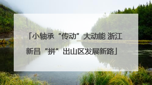 小轴承“传动”大动能 浙江新昌“拼”出山区发展新路