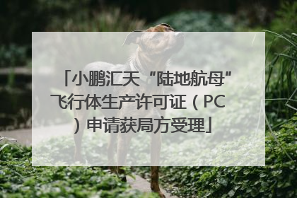 小鹏汇天“陆地航母”飞行体生产许可证（PC）申请获局方受理