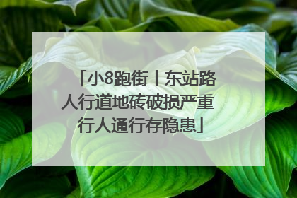 小8跑街丨东站路人行道地砖破损严重 行人通行存隐患