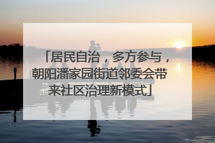 居民自治，多方参与，朝阳潘家园街道邻委会带来社区治理新模式
