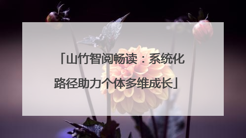 山竹智阅畅读：系统化路径助力个体多维成长