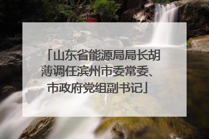 山东省能源局局长胡薄调任滨州市委常委、市政府党组副书记