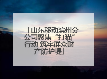 山东移动滨州分公司聚焦“打猫”行动 筑牢群众财产防护堤