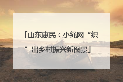 山东惠民：小绳网“织”出乡村振兴新图景