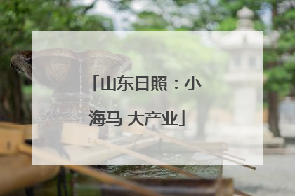山东日照：小海马 大产业