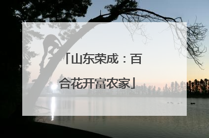 山东荣成：百合花开富农家