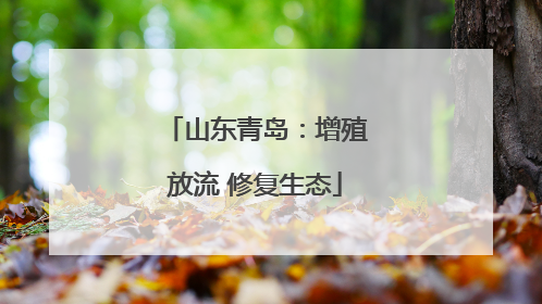 山东青岛：增殖放流 修复生态