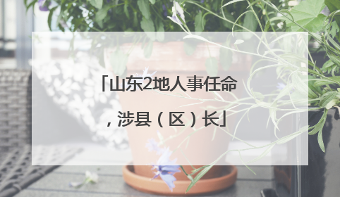 山东2地人事任命，涉县（区）长