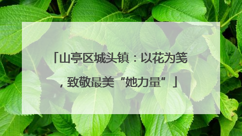 山亭区城头镇：以花为笺，致敬最美“她力量”
