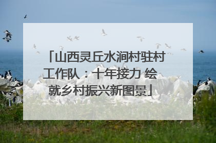 山西灵丘水涧村驻村工作队：十年接力 绘就乡村振兴新图景