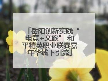 岳阳创新实践“电竞+文旅” 和平精英职业联赛嘉年华线下引流