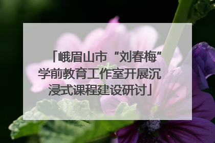 峨眉山市“刘春梅”学前教育工作室开展沉浸式课程建设研讨