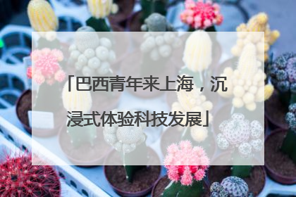 巴西青年来上海，沉浸式体验科技发展