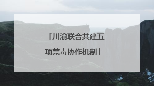 川渝联合共建五项禁毒协作机制