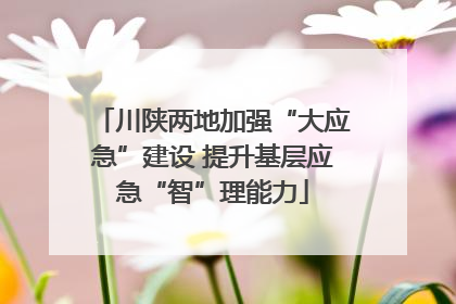 川陕两地加强“大应急”建设 提升基层应急“智”理能力