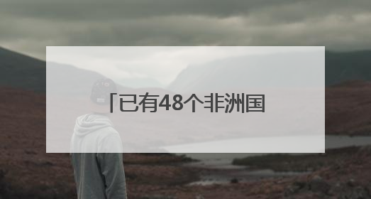 已有48个非洲国家报名参会第四届中非经贸博览会
