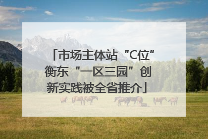 市场主体站“C位” 衡东“一区三园”创新实践被全省推介