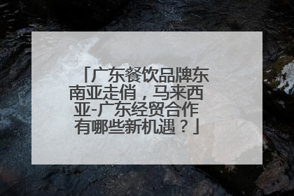 广东餐饮品牌东南亚走俏，马来西亚-广东经贸合作有哪些新机遇？