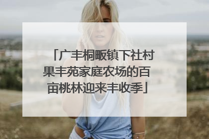 广丰桐畈镇下社村果丰苑家庭农场的百亩桃林迎来丰收季