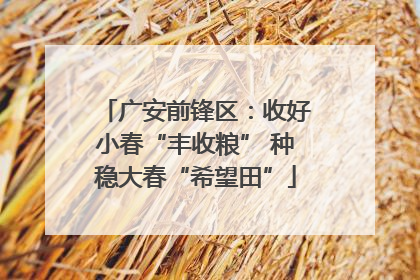 广安前锋区：收好小春“丰收粮” 种稳大春“希望田”