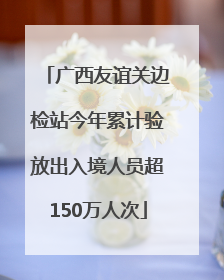 广西友谊关边检站今年累计验放出入境人员超150万人次