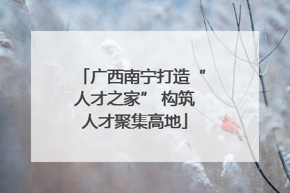广西南宁打造“人才之家” 构筑人才聚集高地