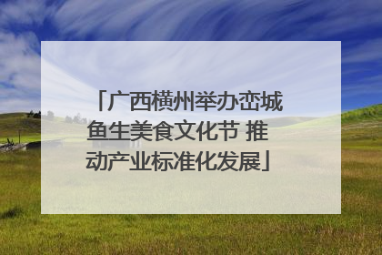 广西横州举办峦城鱼生美食文化节 推动产业标准化发展