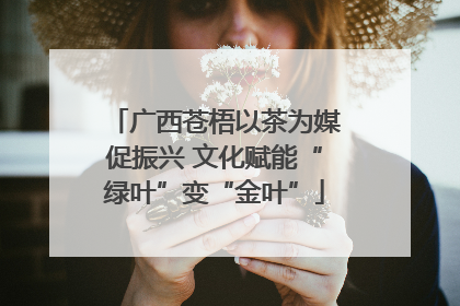 广西苍梧以茶为媒促振兴 文化赋能“绿叶”变“金叶”