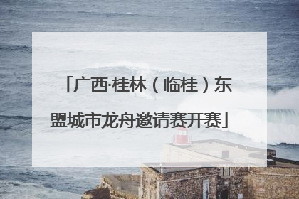 广西·桂林（临桂）东盟城市龙舟邀请赛开赛
