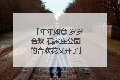 年年如意 岁岁合欢 石家庄公园的合欢花又开了