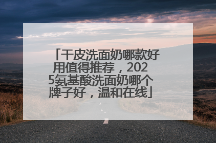 干皮洗面奶哪款好用值得推荐，2025氨基酸洗面奶哪个牌子好，温和在线