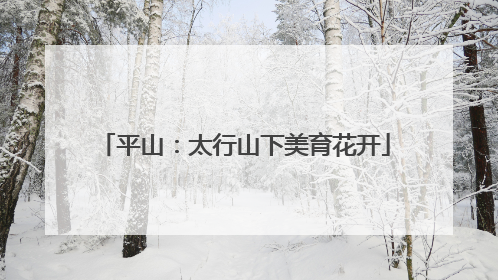 平山：太行山下美育花开