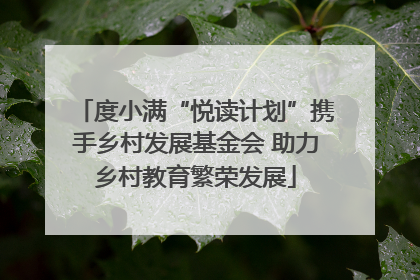 度小满“悦读计划”携手乡村发展基金会 助力乡村教育繁荣发展
