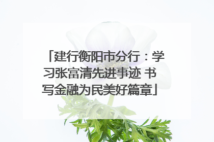 建行衡阳市分行：学习张富清先进事迹 书写金融为民美好篇章
