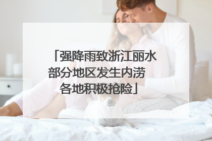 强降雨致浙江丽水部分地区发生内涝 各地积极抢险