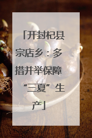 开封杞县宗店乡：多措并举保障“三夏”生产