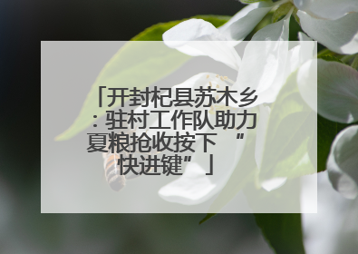 开封杞县苏木乡：驻村工作队助力夏粮抢收按下 “快进键”