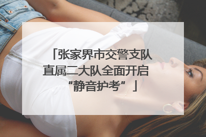张家界市交警支队直属二大队全面开启“静音护考”