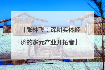 张林飞：深耕实体经济的多元产业开拓者