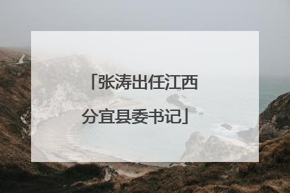 张涛出任江西分宜县委书记