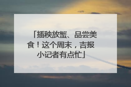 插秧放蟹、品尝美食！这个周末，吉报小记者有点忙