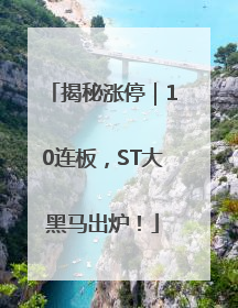 揭秘涨停｜10连板，ST大黑马出炉！